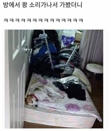  쾅 소리 들려서 방에 가보니