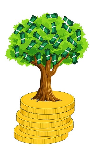 2024년 5월 공모주 일정 알아보기