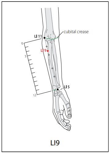 수양명대장경 (LI) > LI9 상렴 (上廉) 1