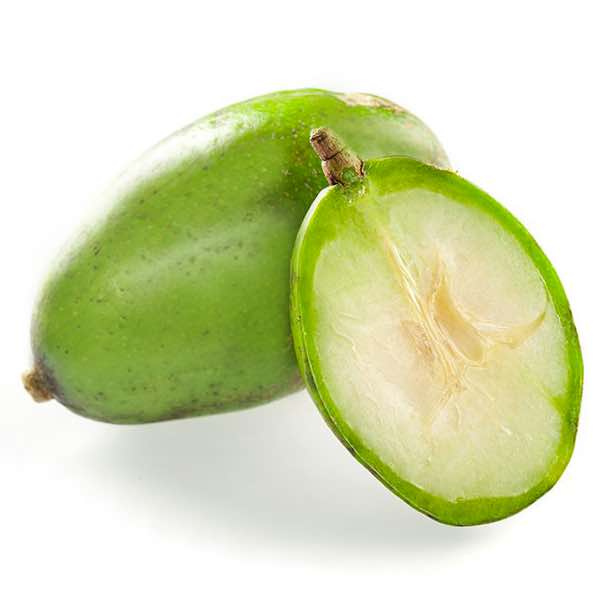  암바렐라 Ambarella 에 대해서 알아볼게요.
