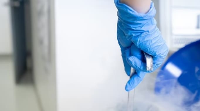  난자 냉동 권유하는 병원...실제적으로 효과 없어...옥스포드 대 교수 경고 Clinics are giving false hope to childless women by selling egg freezing...