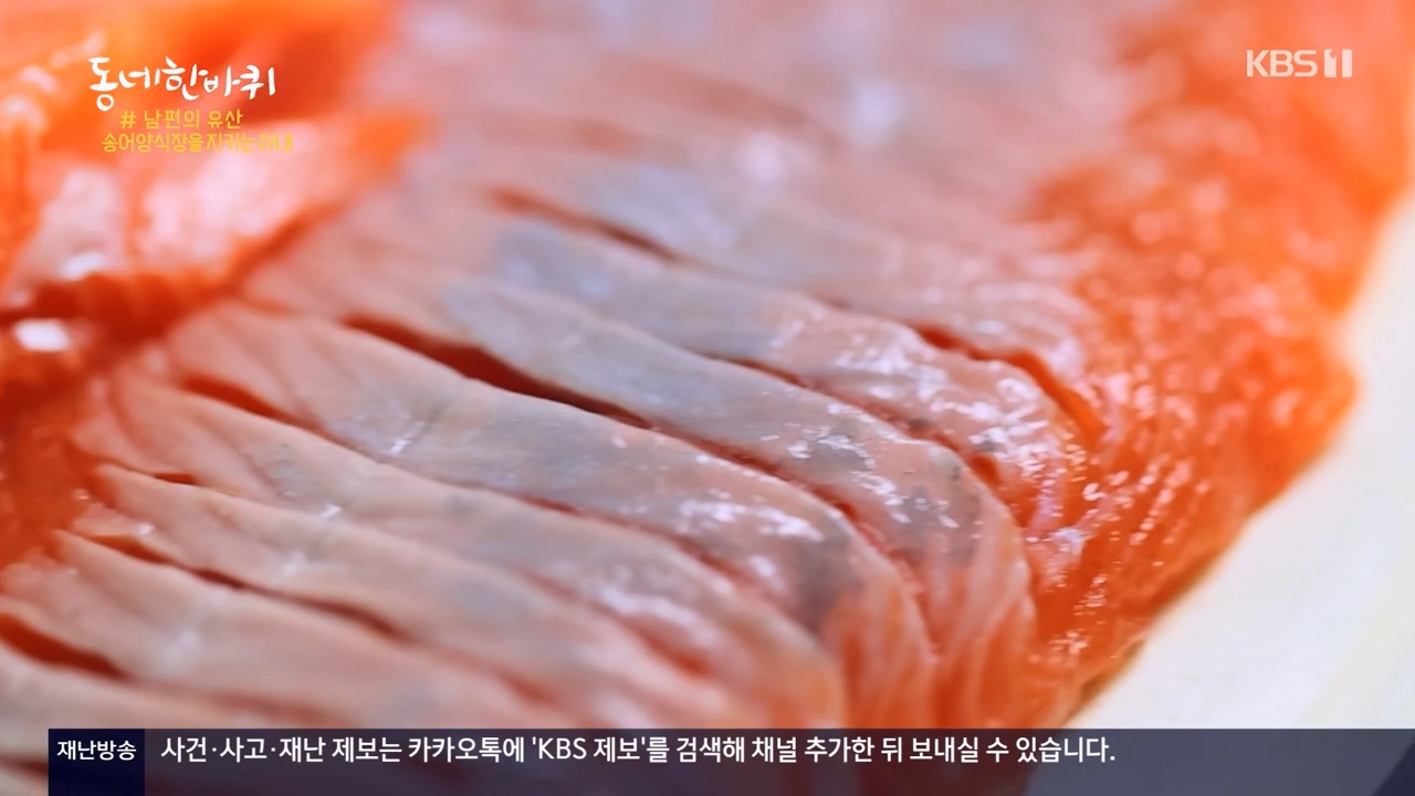 동네 한 바퀴.E234.230806p-NEXT.mp4_20230810_211409.018.jpg