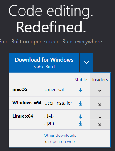 비주얼 스튜디오 코드 프로그램 유형