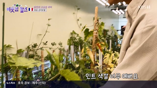 이웃집 찰스.E395.230719p-NEXT.mp4_20230720_210307.248.jpg