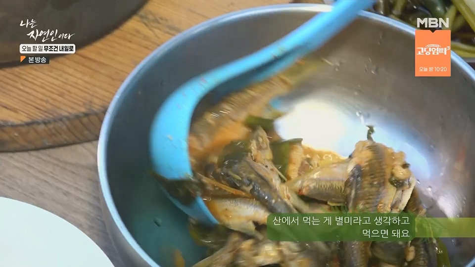 나는 자연인이다.E562.230712p.H264-F1RST.mp4_20230713_204728.300.jpg