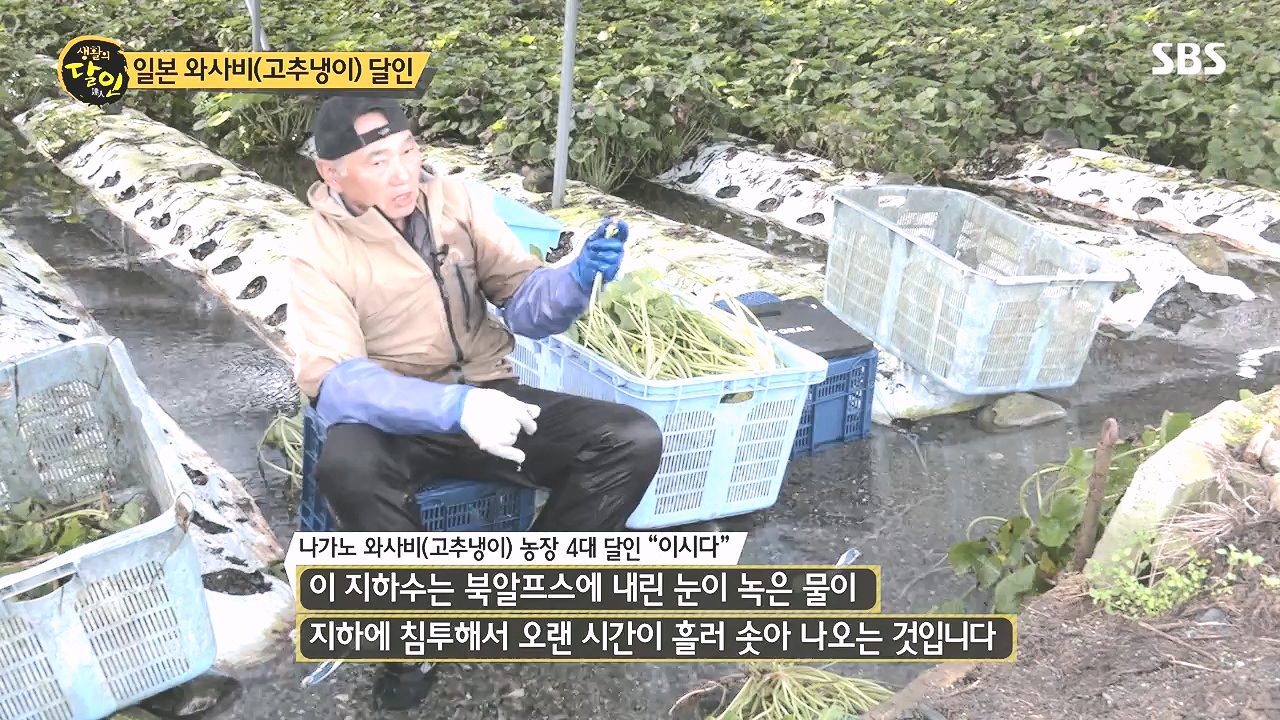 생활의 달인.E908.231017p-NEXT.mp4_20231017_202212.981.jpg