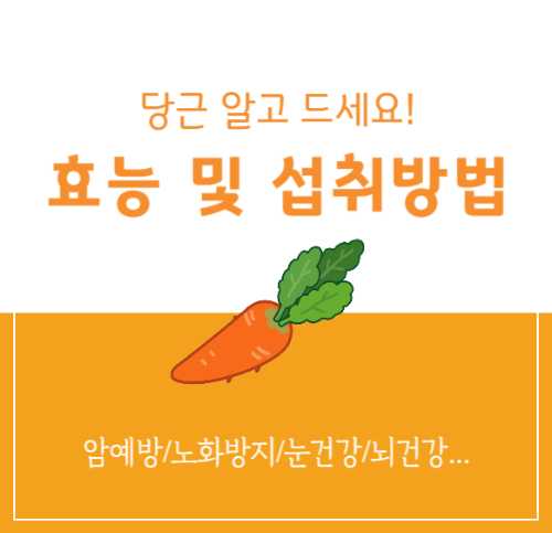 당근의 효능 및 섭취방법