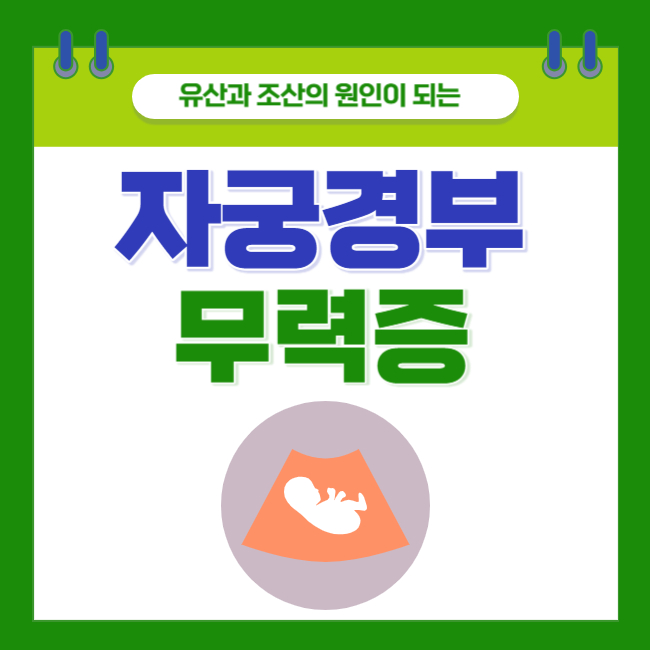  유산과 조산의 원인이 되는 <자궁경부 무력증> 원인과 증상