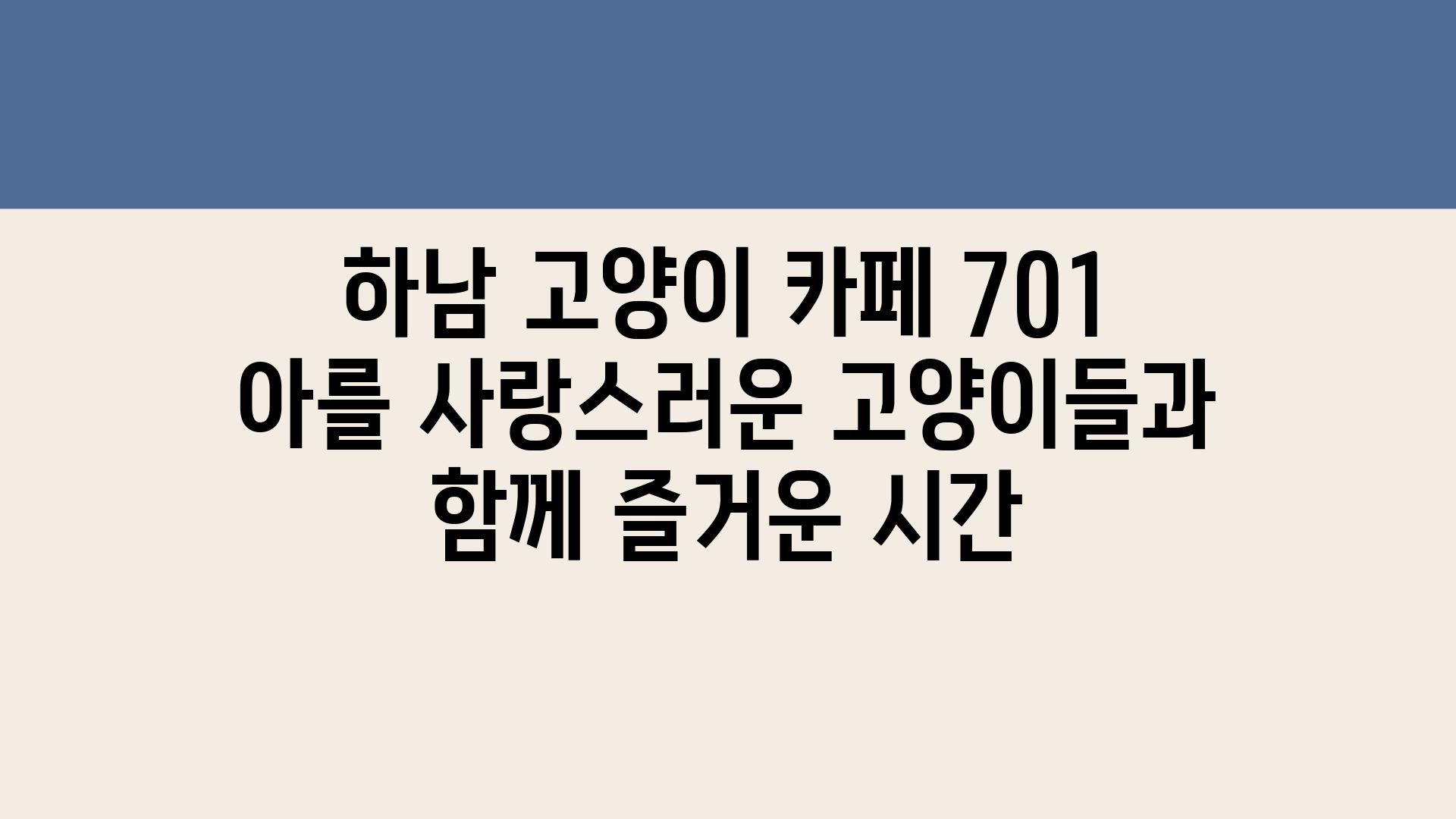 하남 고양이 카페 701 아를 사랑스러운 고양이들과 함께 즐거운 시간