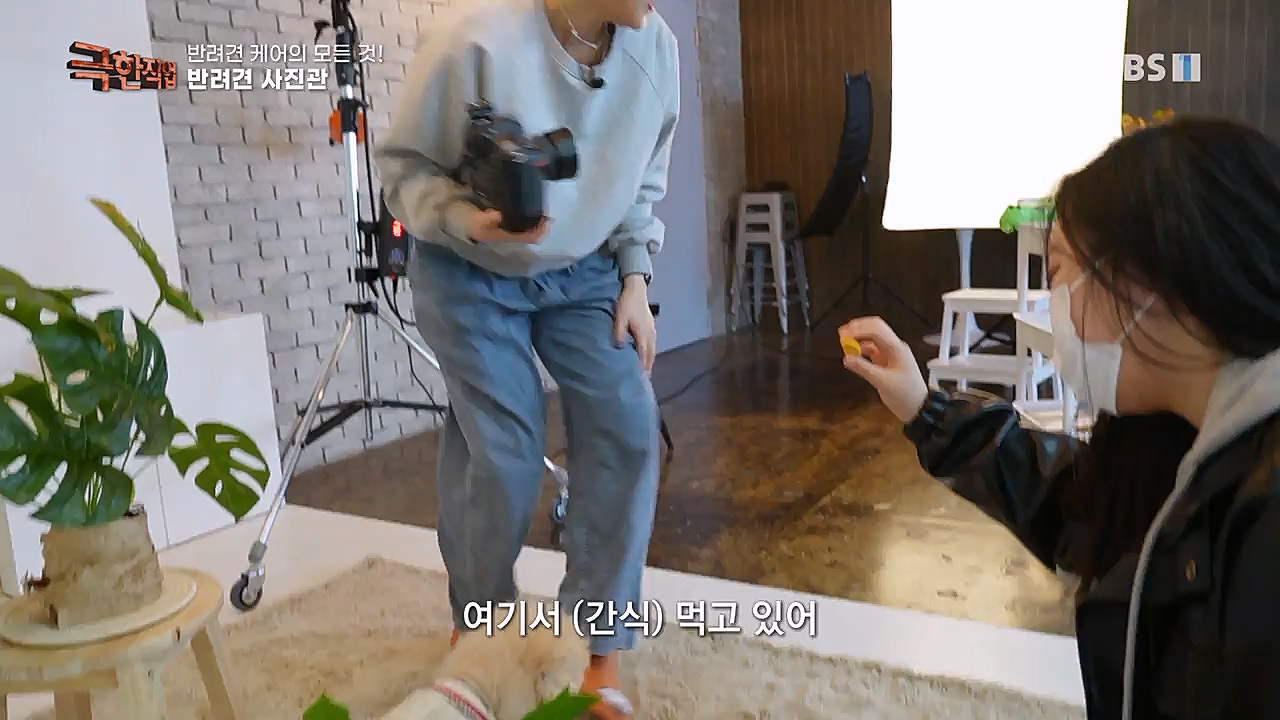 TV - 교육의 중심 EBS반려견 케어의 모든 것!.mp4_20230326_164738.322.jpg