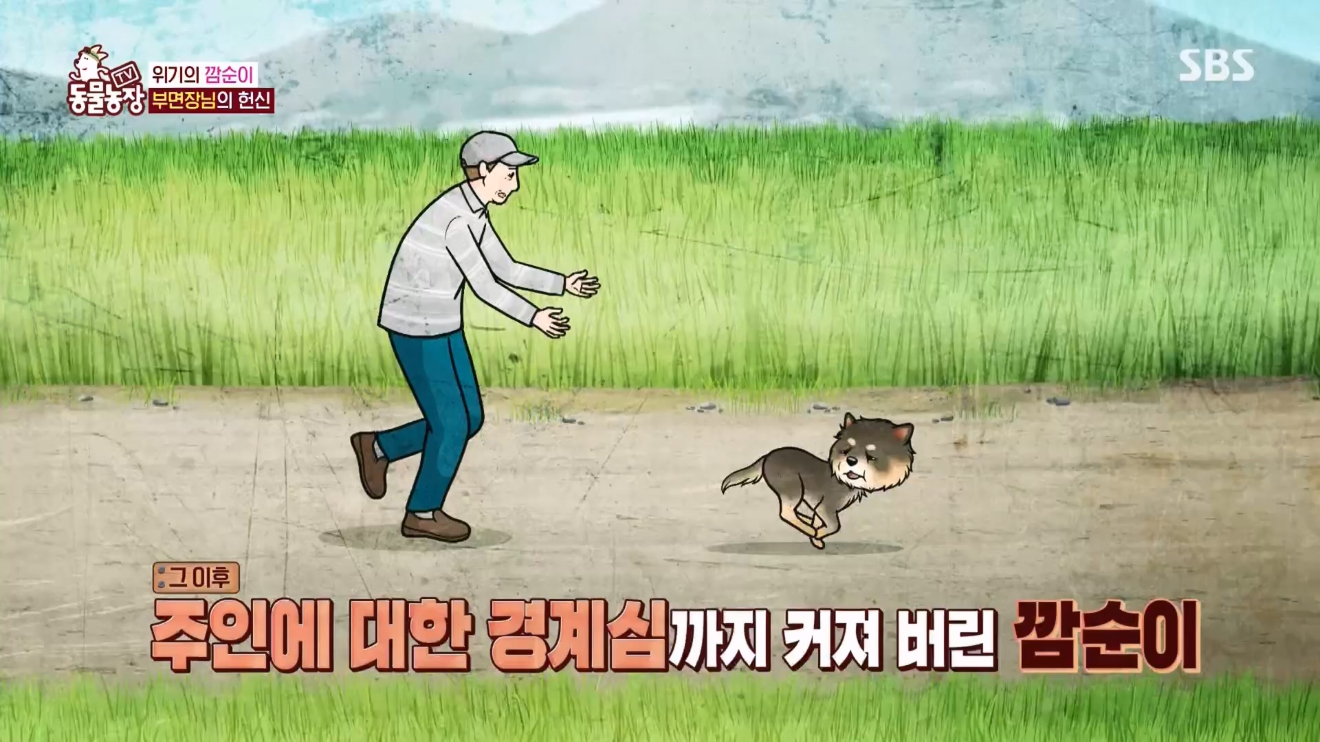 TV 동물농장.E1118.230423p.H264-F1RST.mp4_20230423_181131.615.jpg