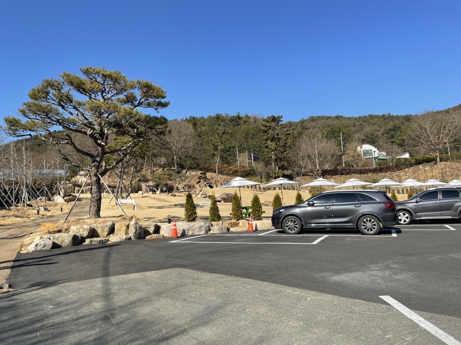 사랑 <느티나무의 > 28