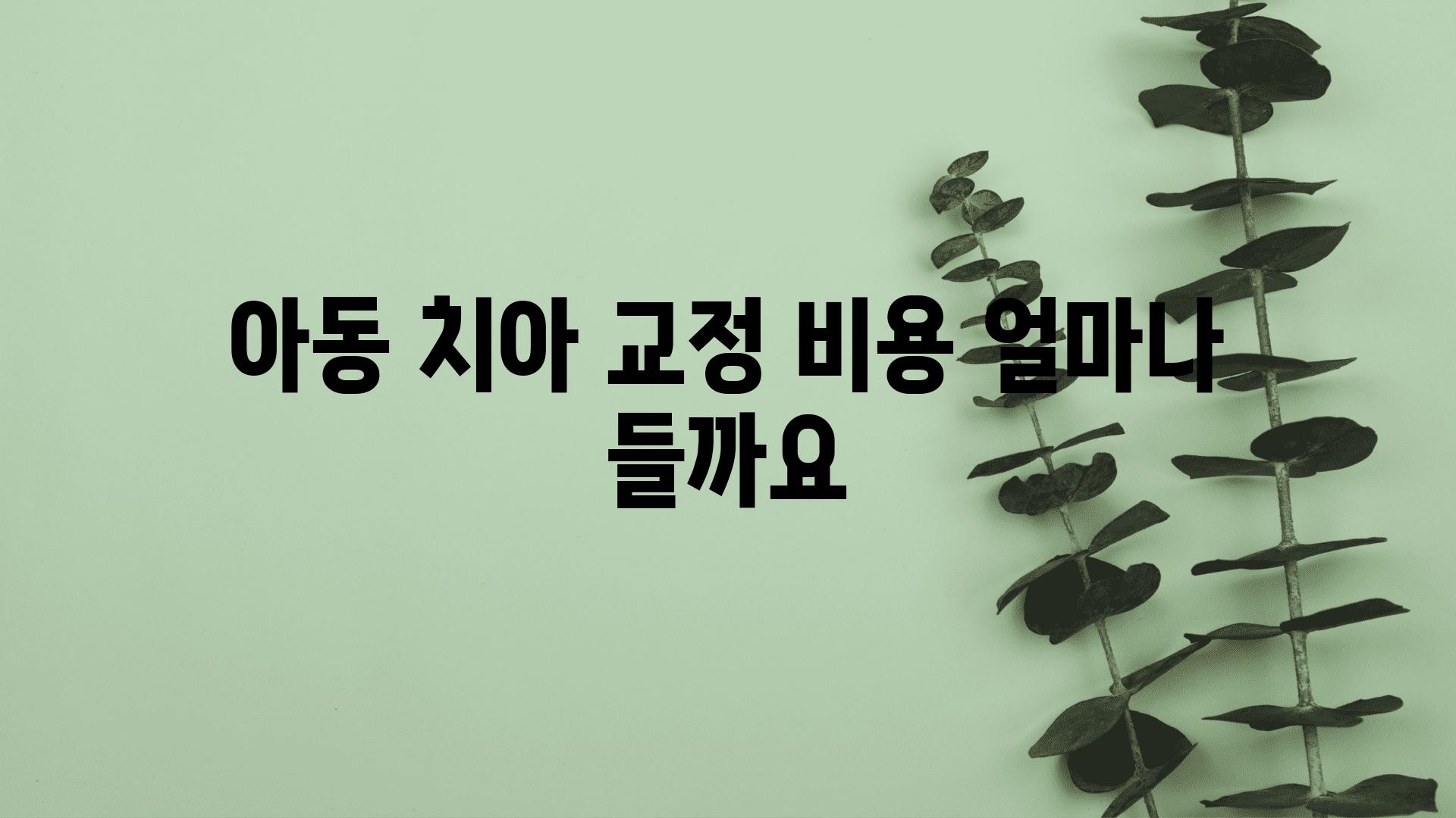 아동 치아 교정 비용 얼마나 들까요