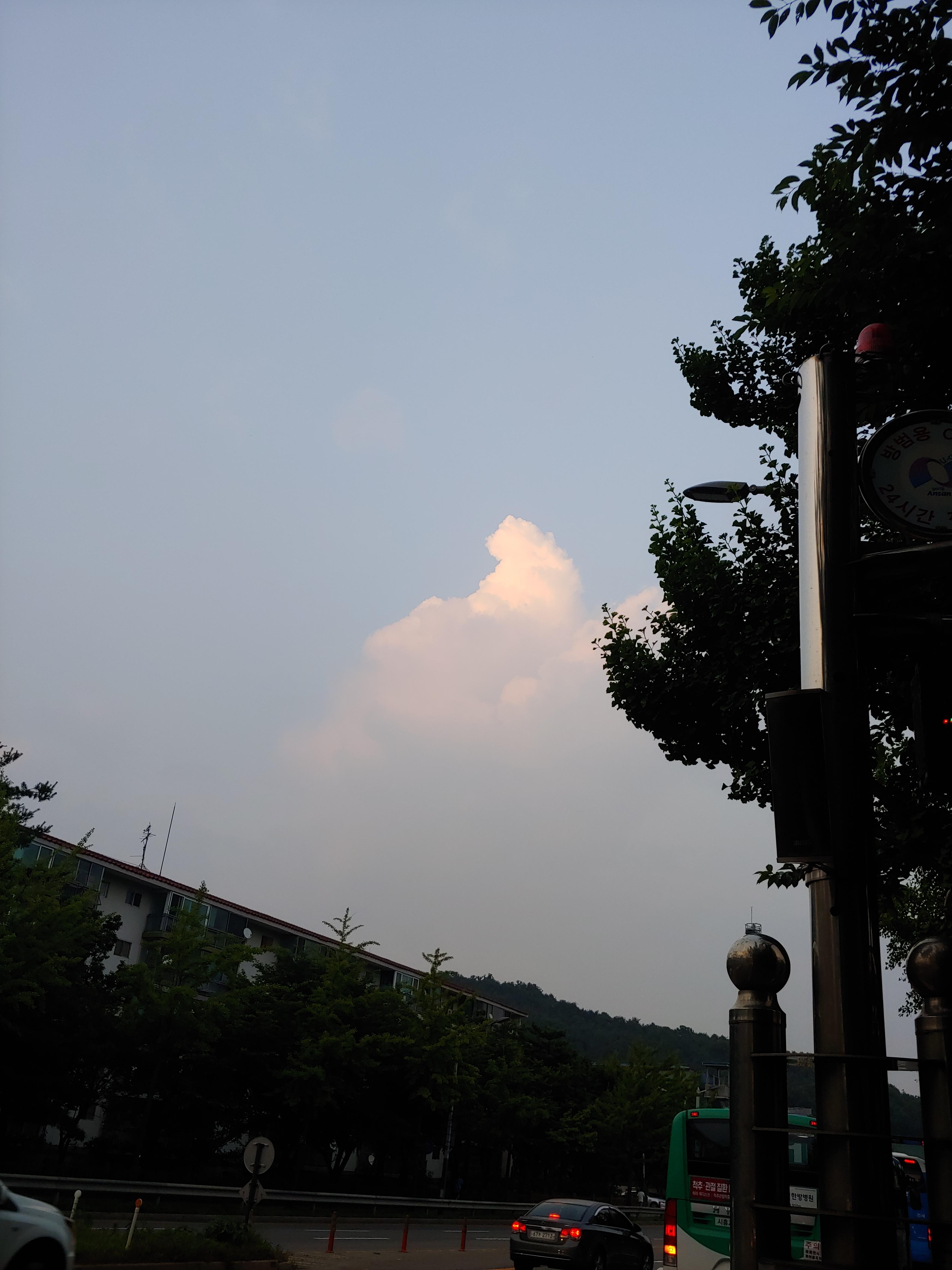  6월 #인생노잼시기가 왔다.....