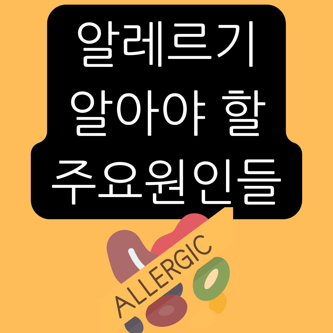 알레르기-주요-원인
