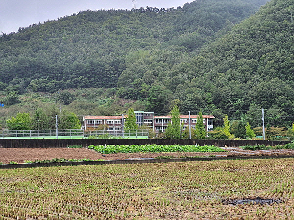 강원도 농촌 풍경 사진