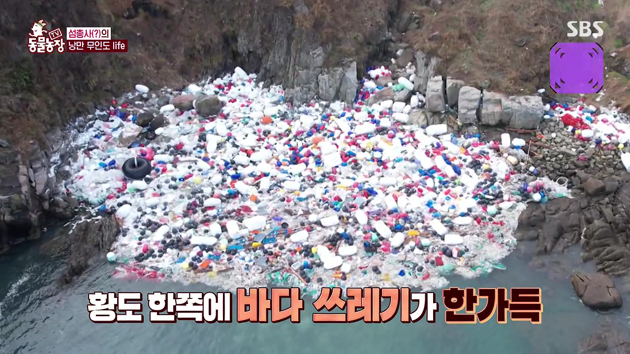 TV 동물농장.E1172.240520p-NEXT.mp4_20240519_162714.117.jpg