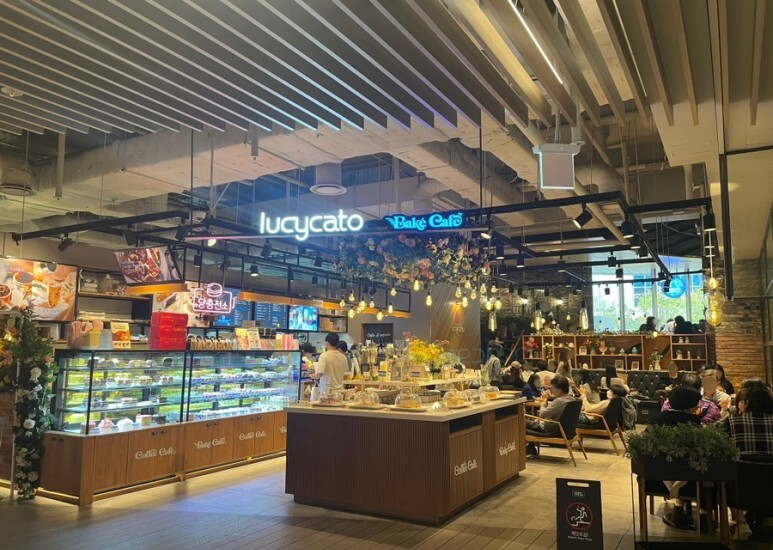 용산 루시카토