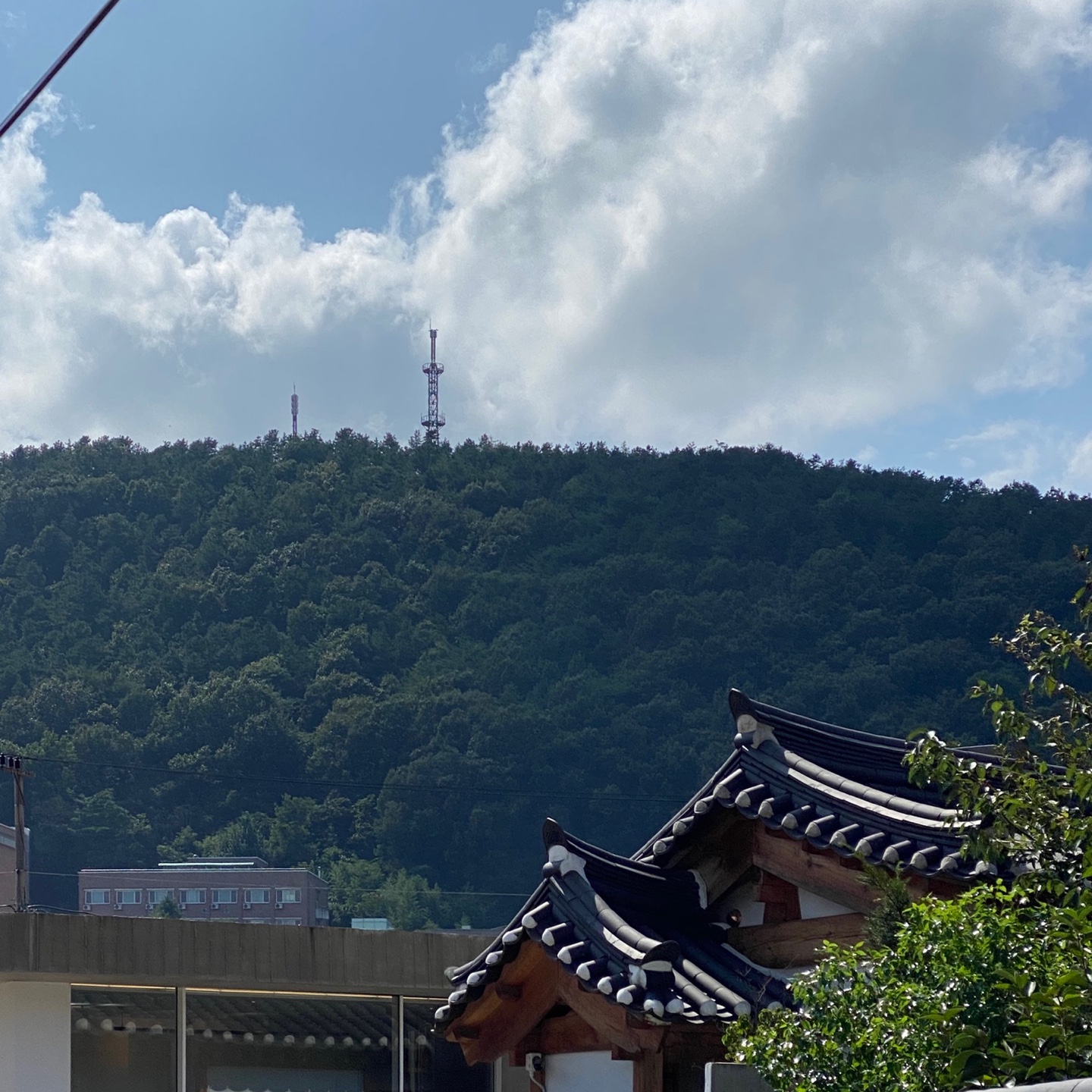 #경험리뷰: 집 구하기 전 주의사항_1탄(집보러다니기/중개사&실매물 고르는 소소팁/서울살이10년차)