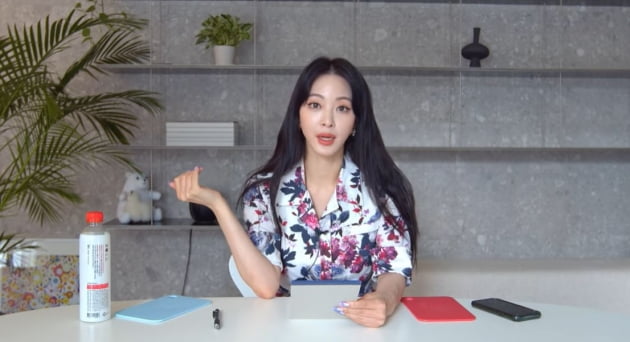  한예슬 전 남친(테디, 원진 부회장) 언급, 루머 해명 (+ 원진은 누구인가?)