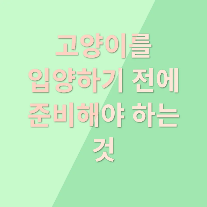 고양이 입양_2
