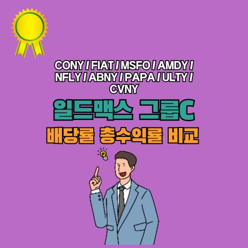 일드맥스 그룹 C 6개월 배당률 및 총수익률 비교