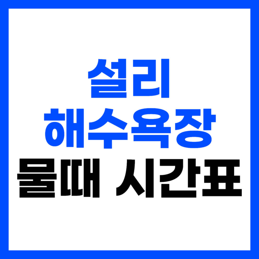 설리해수욕장 물때 시간표 보는 방법