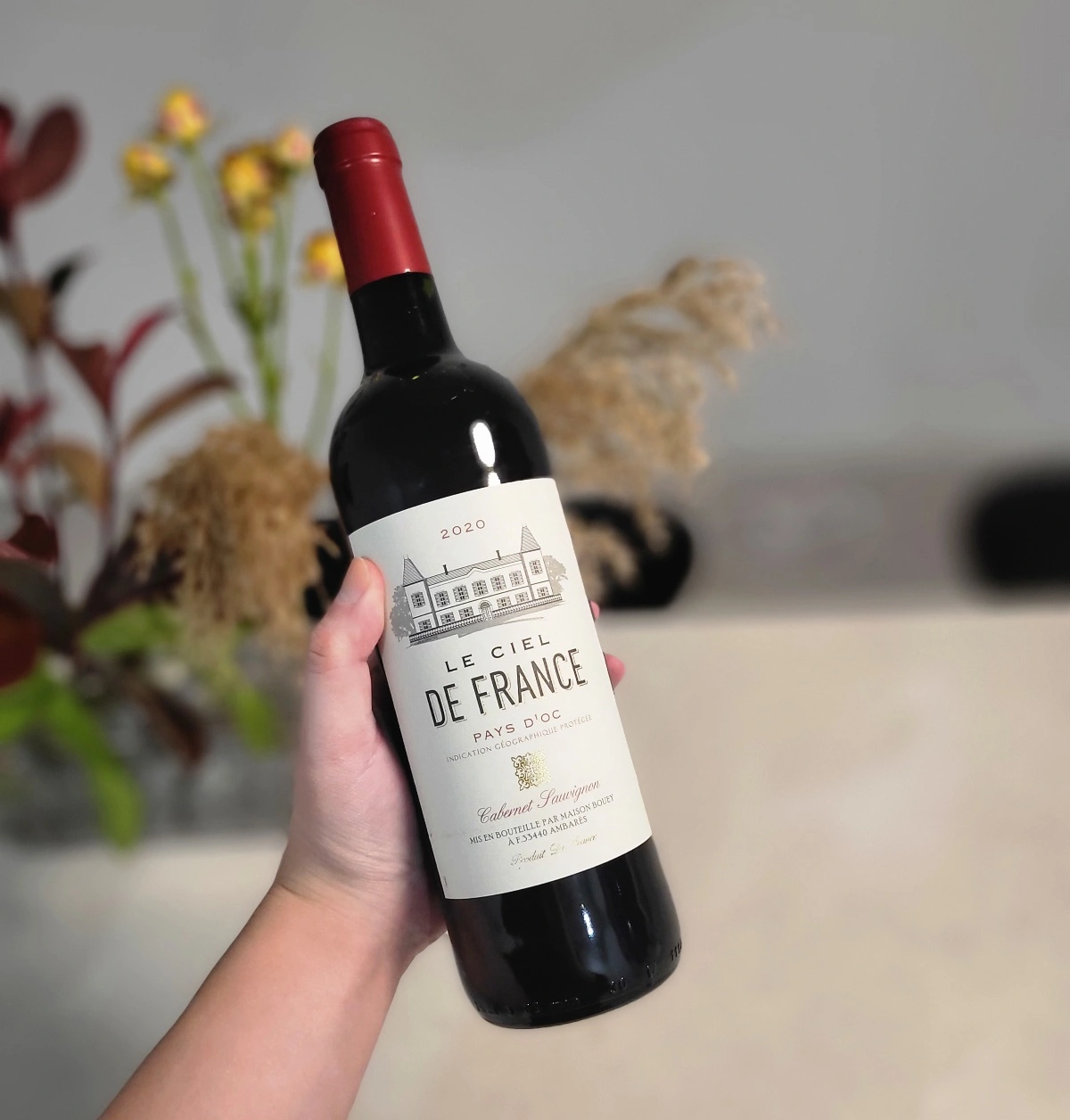 르 씨엘 드 프랑스 까베르네 소비뇽(Le Ciel de France Cabernet Sauvignon)