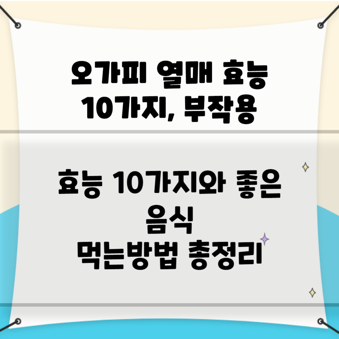 오가피 열매 효능 10가지&#44; 부작용 블로그 썸내일 사진