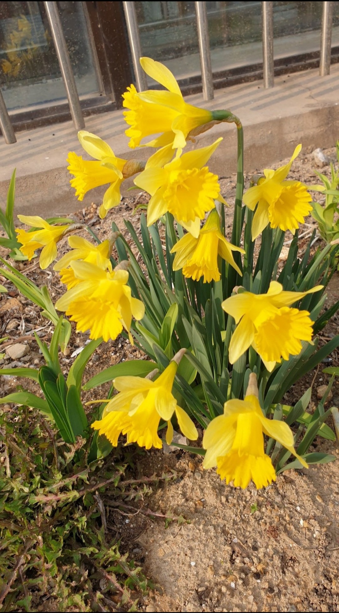 구룡사 혜암성범 1
