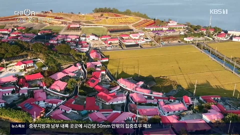 다큐 On.E201.230610p.H264-F1RST.mp4_20230611_165941.615.jpg