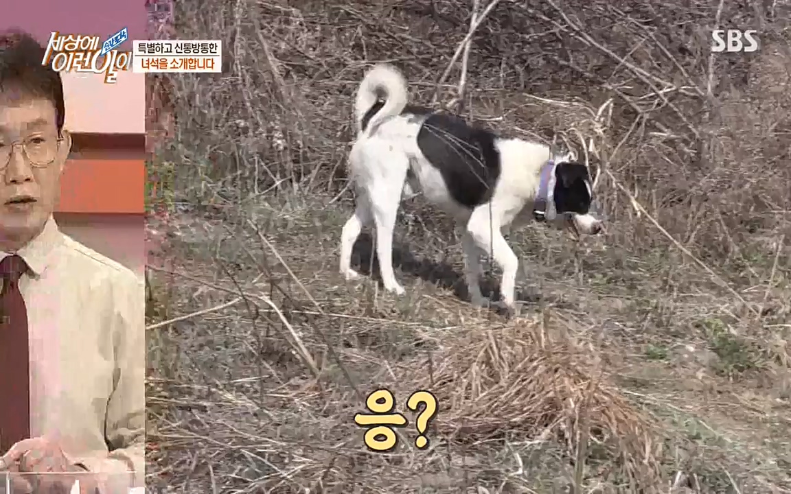 순간포착 세상에 이런일이.E1176.220420p-NEXT.mp4_20220420_175838.636.jpg