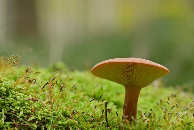 산림산업기사