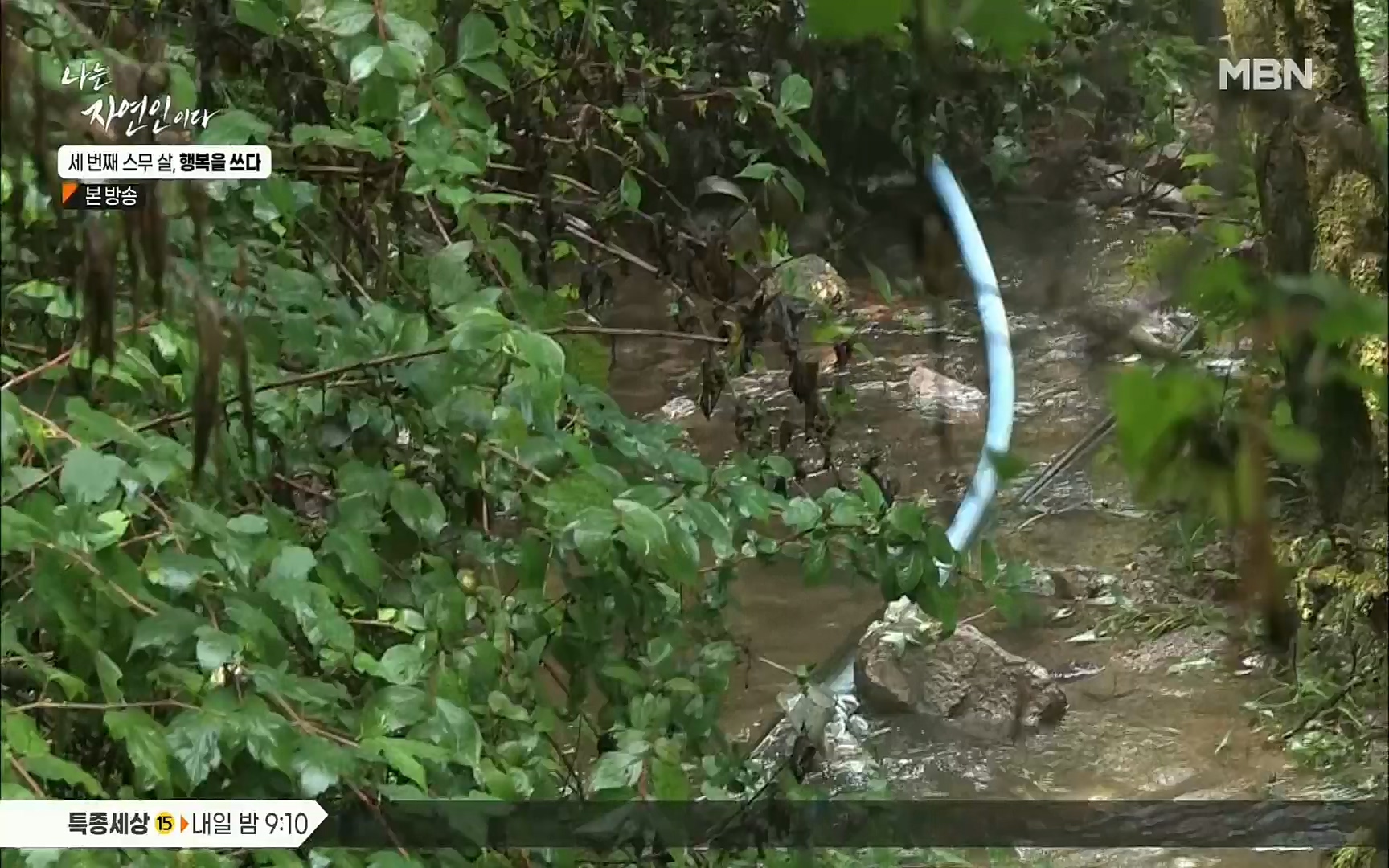 나는 자연인이다.E516.220824p.H264-F1RST.mp4_20220825_164131.612.jpg