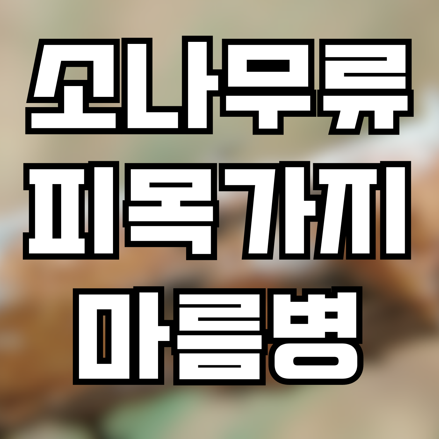  소나무류 피목가지마름병