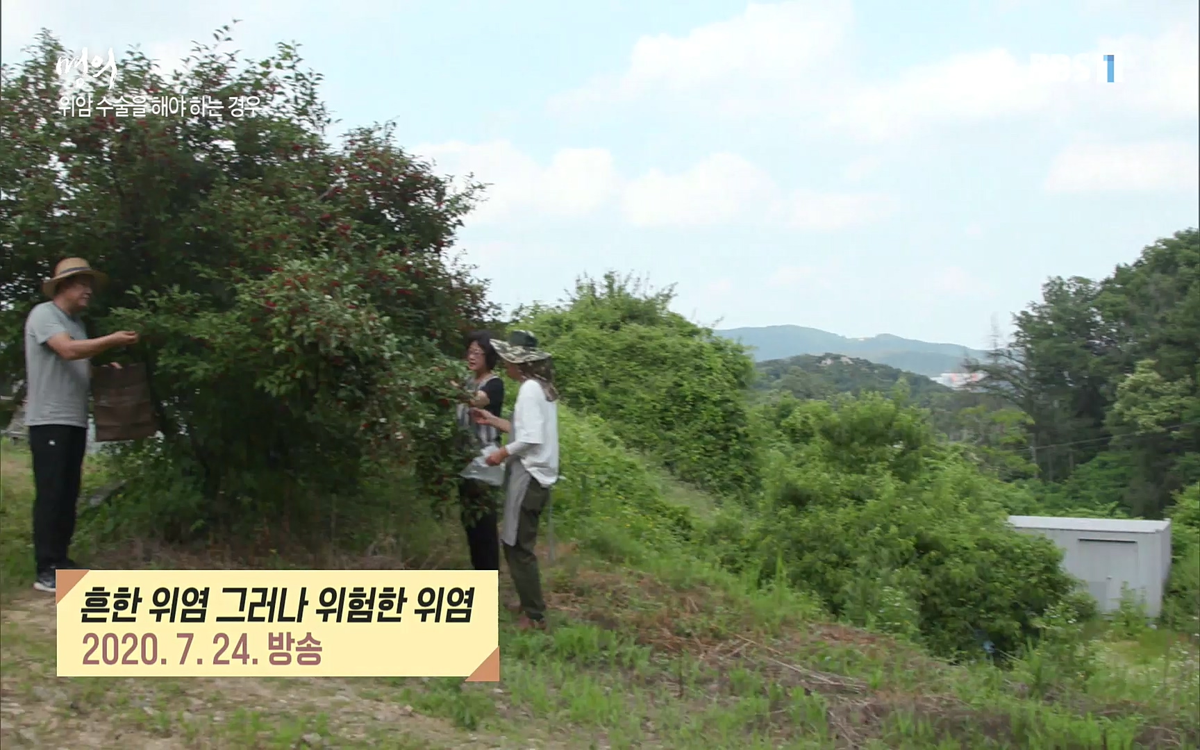 EBS 명의 헬스케어 - TV - 교육의 중심 EBS명의 15년, 위암 치료 이렇게 달라졌다!.mp4_20220809_203704.367.jpg