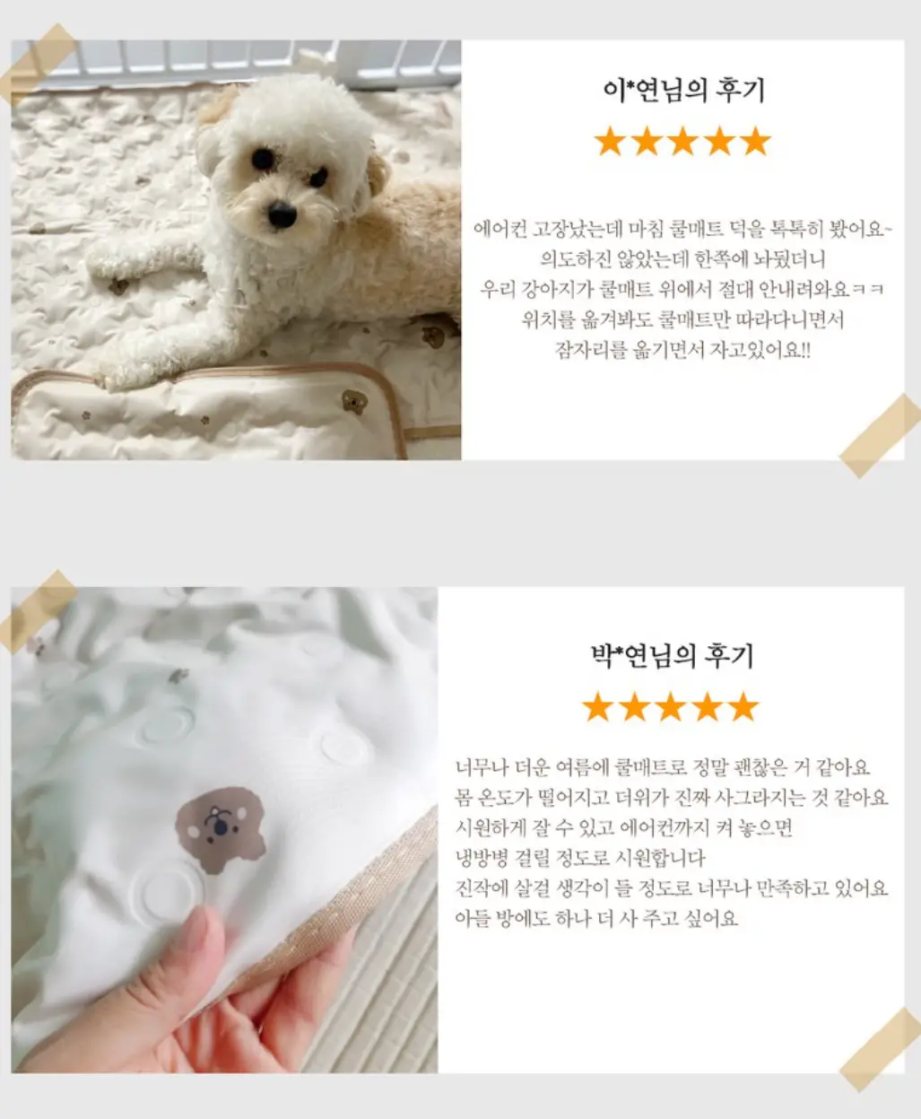 사진12