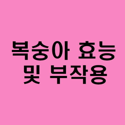  복숭아 효능 및 부작용