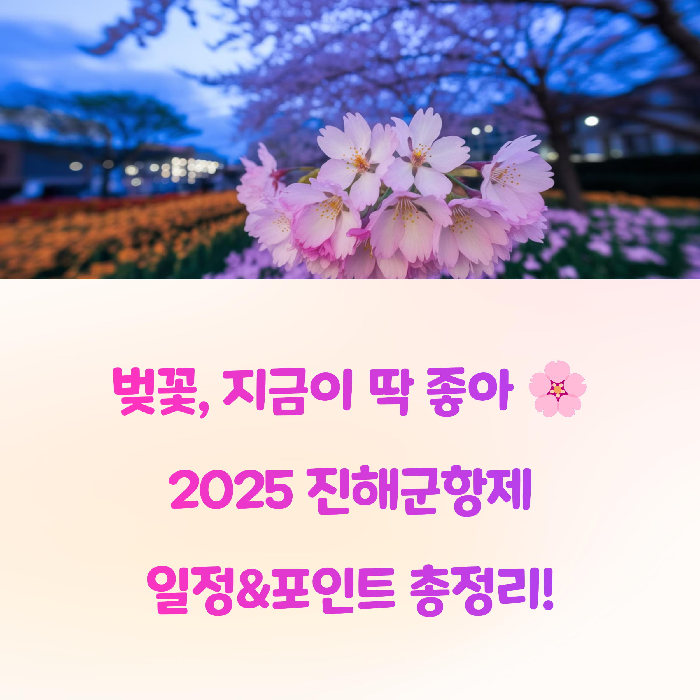벚꽃, 지금이 딱 좋아 🌸
2025 진해군항제 일정&amp;포인트 총정리!