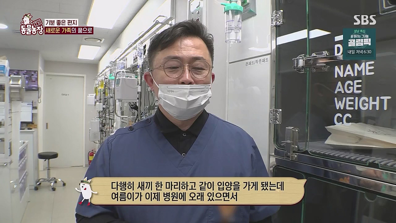 TV 동물농장.E1104.230123p.WANNA.mp4_20230123_195425.052.jpg