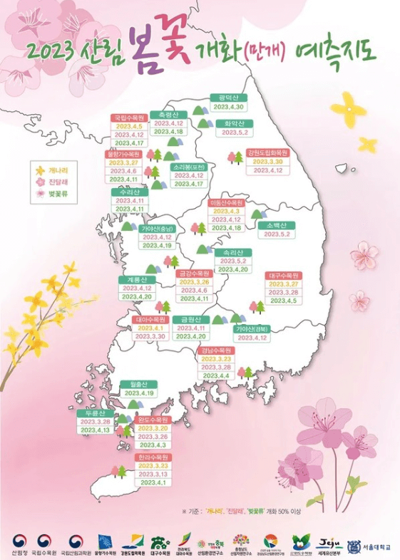 2023년 봄꽃 개화시기 지도