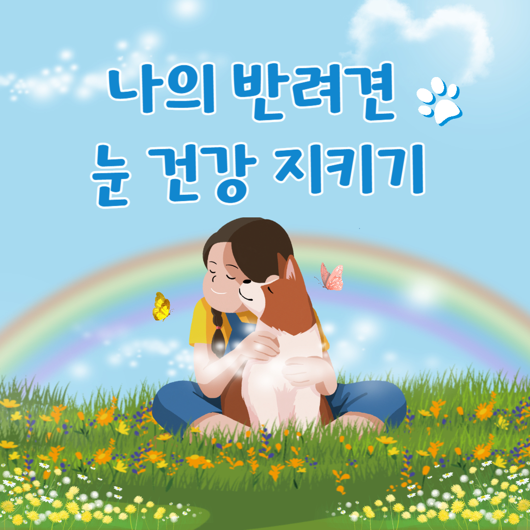  강아지 눈 영양제  추천 성분 및 분석