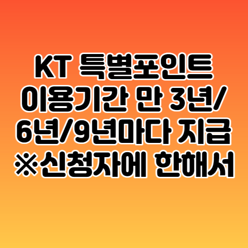  KT VIP VVIP 등급 조건 (추가포인트, 생일 기프트)