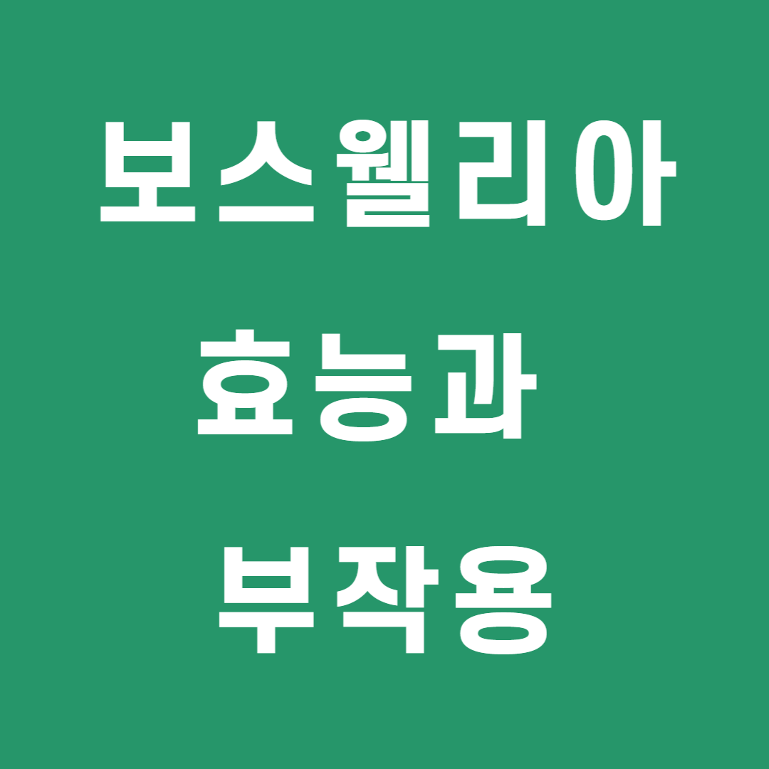  보스웰리아 효능과 부작용(복용 후기)