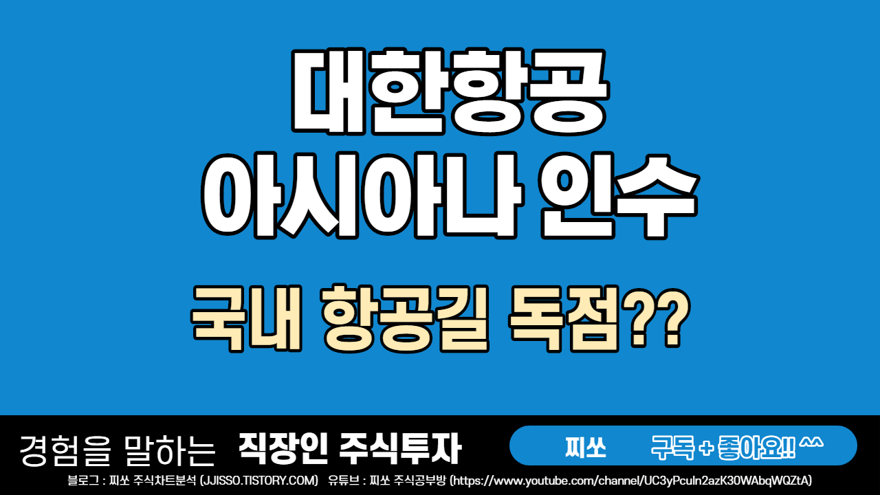  대한항공의 아시아나 인수 - 하늘길 독점?