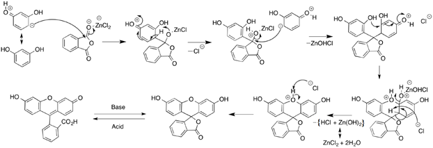 fluorescein 합성 반응
