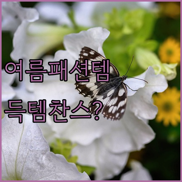 여름 대비 가성비 패션 아이템! 4만