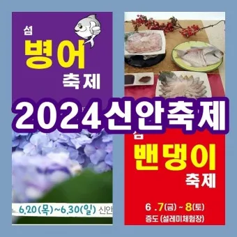 신안 섬 밴댕이 축제 오뉴월 밴댕이 맛보러 가요_5