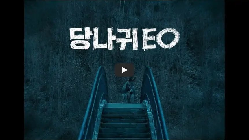 영화 [당나귀 EO] 한국 예고편