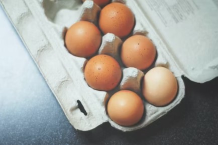하루-여섯개의-달걀을-먹는-에그패스팅-다이어트